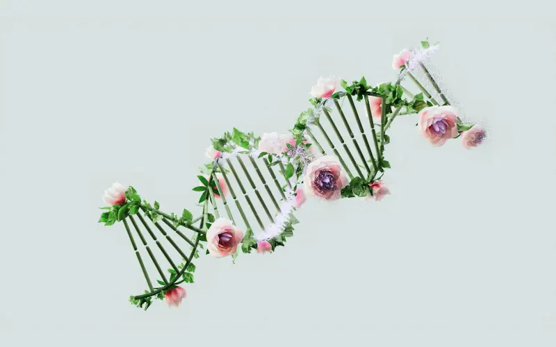 one-health-approach-1